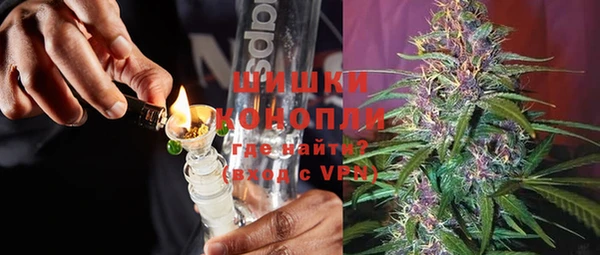 прущие грибы Инсар