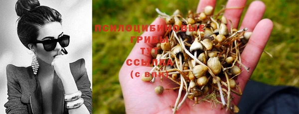первитин Киреевск