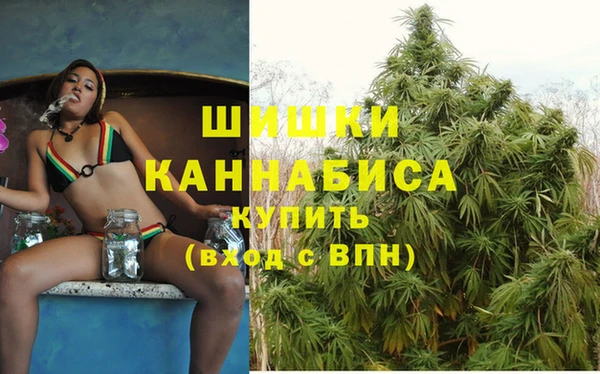 ALPHA PVP Каменка
