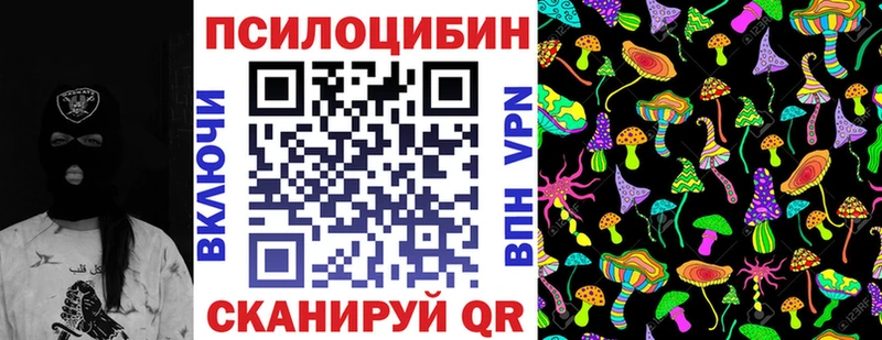 Галлюциногенные грибы Psilocybe  Киренск 
